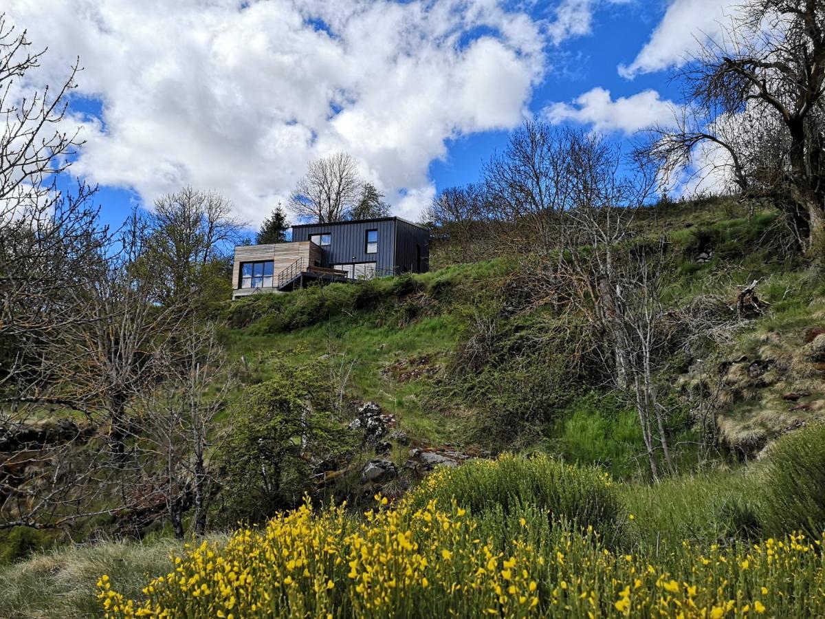 Maison D'Architecte En Pleine Nature Arlempdes Exterior photo